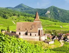 法国杯倒计时，布莱顿赛前回应争议，细节引发关注，话题不断，心理建设被强调的简单介绍