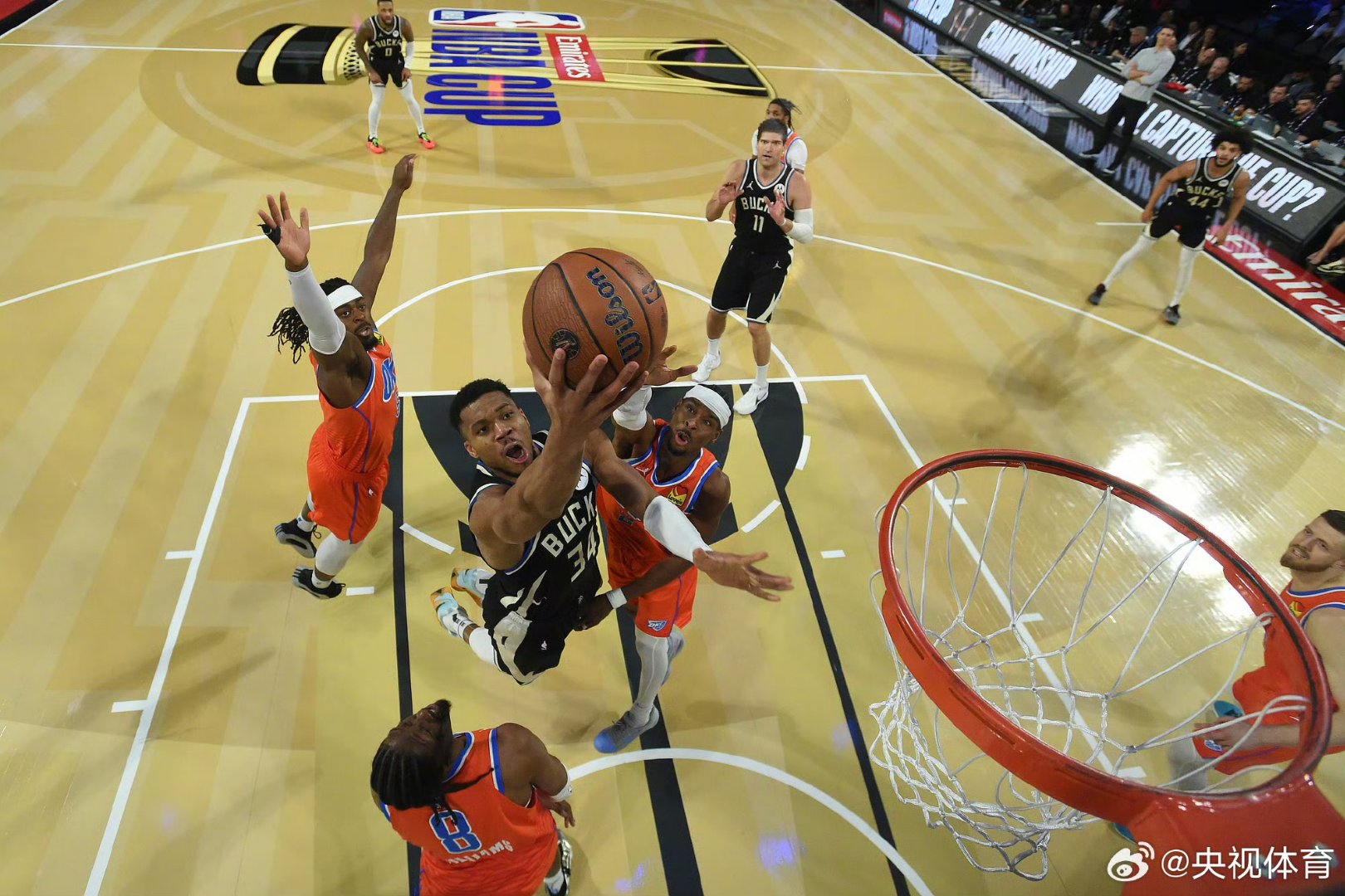 关于NBA常规赛倒计时，密尔沃基雄鹿冲刺阶段战术微调，细节引发关注，压力陡增，轮换策略成焦点的信息